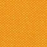 Spradling-Silvertex-6065.jpg